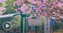 五大联赛直播平台校园风光