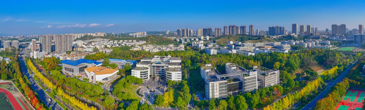 五大联赛直播平台风景
